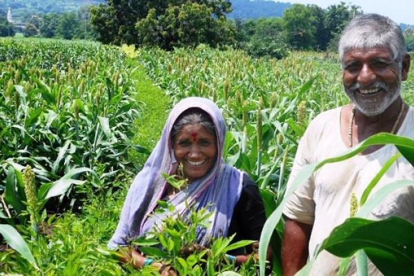 जिजामाता कृषिभुषण पुरस्कार