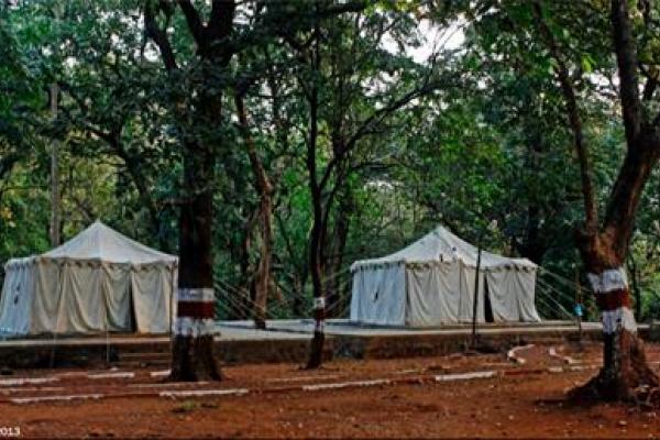 phansad reserve forest